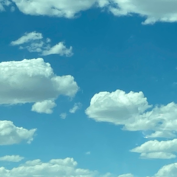 Meet your Posher, Maria - Picture 3 of 3